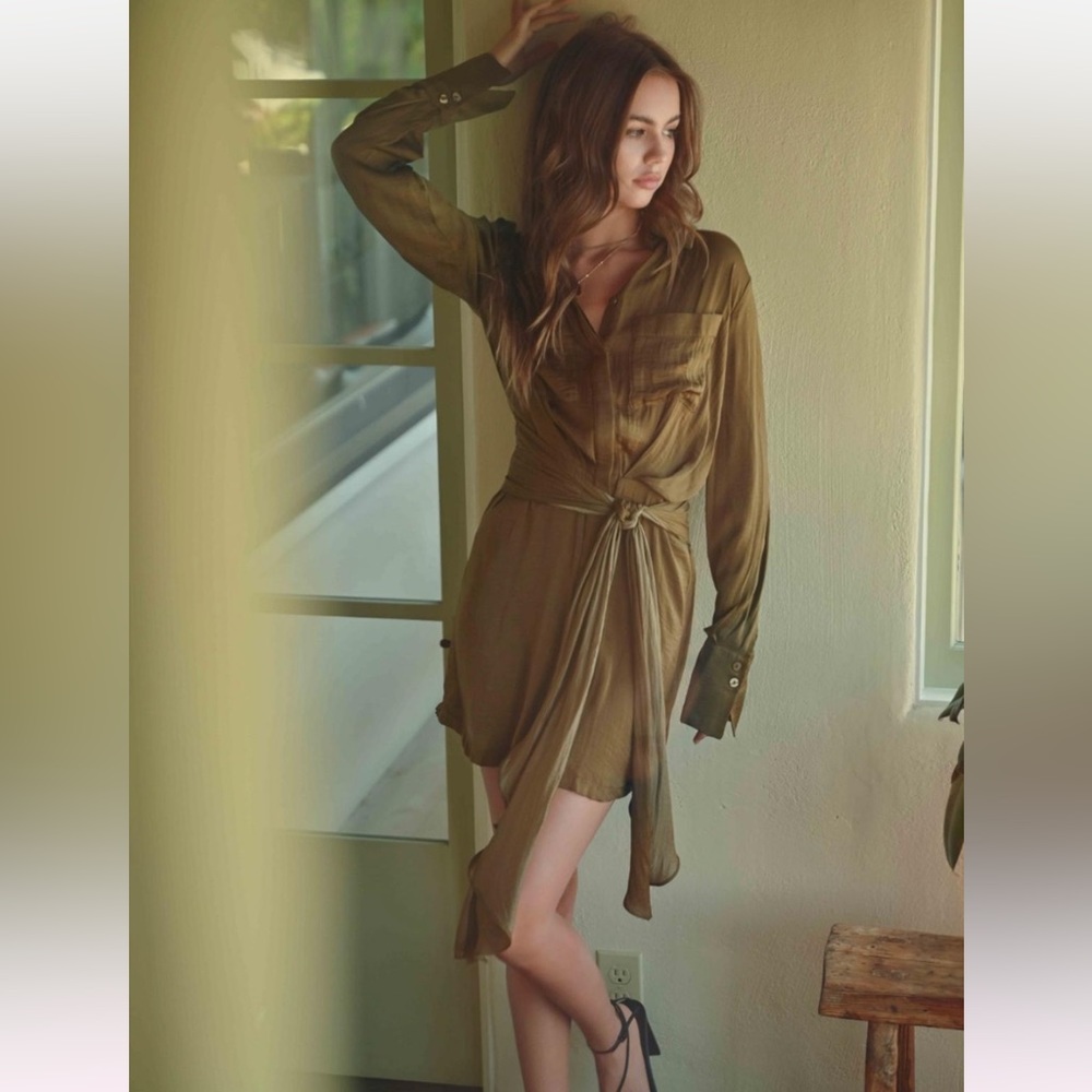 Button Down Dress